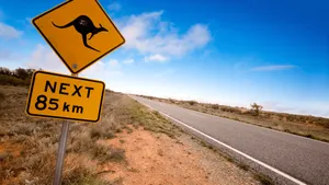 Kangaroo Cute Animal Crossing Yellow Sign Wallpaper