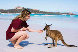 Kangaroo With Girl Wallpaper