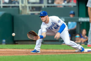 Kansas City Royals First Baseman Fielding Wallpaper
