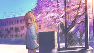 Kaori Miyazono Schoolyard Sakura Wallpaper