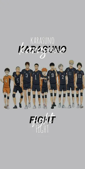 Karasuno Volleyball Team Haikyuu Wallpaper