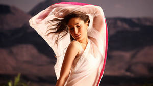 Kareena Kapoor Sheer Teri Meri Saree Wallpaper