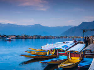 Kashmir Dal Lake Shikarasat Dusk Wallpaper