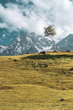 Kashmir_ Meadow_and_ Snowy_ Mountains Wallpaper