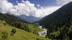 Kashmir_ Valley_ Scenic_ View Wallpaper