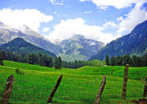 Kashmir_ Valley_ Serenity.jpg Wallpaper