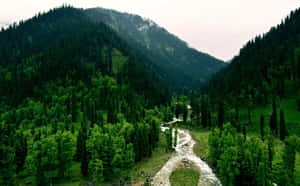 Kashmir_ Valley_ Serenity.jpg Wallpaper