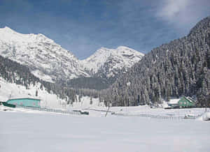 Kashmir Winter Landscape Snow Covered Wallpaper