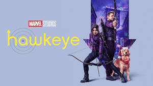 Kate Bishop Disney Plus Hawkeye Wallpaper