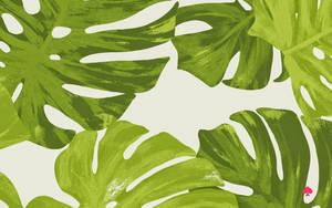 Kate Spade Logo With Monstera Wallpaper