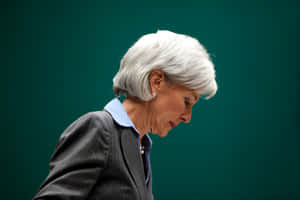 Kathleen Sebelius Addressing A Board Meeting Wallpaper