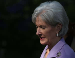 Kathleen Sebelius Delivering A Speech Wallpaper