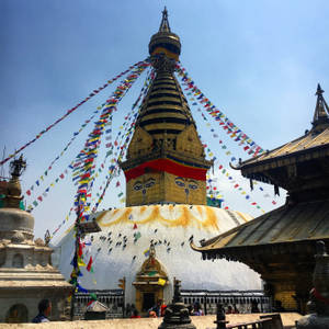 Kathmandu Temple Birds Wallpaper