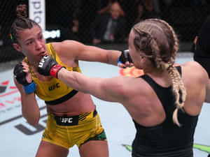 Katlyn Chookagian Exhibiting Precision And Strength In Boxing Wallpaper