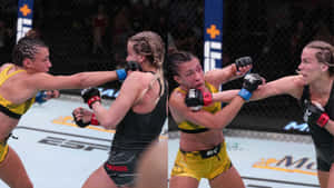 Katlyn Chookagian Fierce Battle Wallpaper