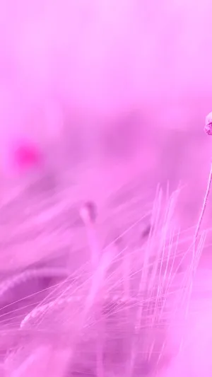 Kawaii Purple Grass Wallpaper