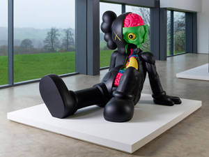 Kaws Pc Anatomy Companion Exhibit Wallpaper