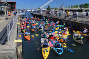 Kayakers_at_ Ballard_ Locks_ Summer_ Event.jpg Wallpaper