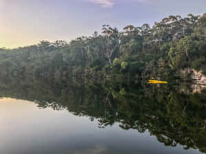 Kayakingin Tranquil Glenelg River Wallpaper