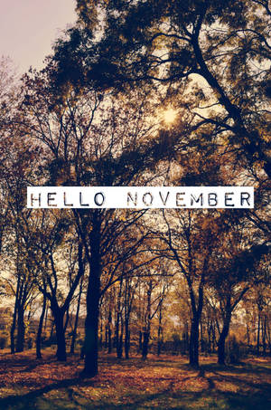 Keep Your Vision On The Future With This November Iphone Background Wallpaper