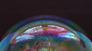 Keeping Cool Wallpaper