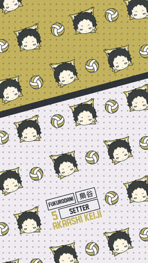 Keiji Akaashi: Composed And Focused Volleyball Genius Wallpaper