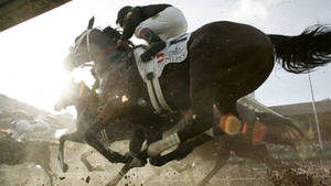 Kentucky Derby Equestrian Competition Wallpaper