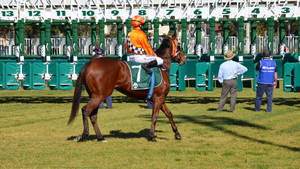 Kentucky Derby Gate Wallpaper