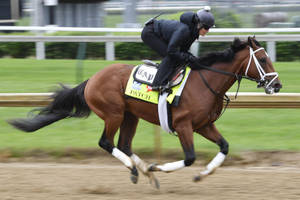 Kentucky Derby Skilled Equestrian Wallpaper