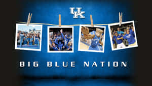 Kentucky Wildcats Photo Compilation Mascot Students Wallpaper