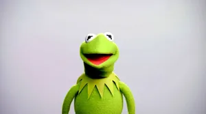 Kermit The Frog Headshot Wallpaper