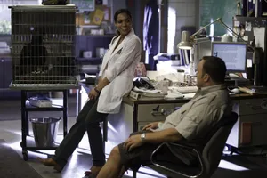 Kevin James With A Smile Wallpaper