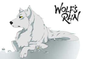 Kiba From Wolf's Rain Standing In The Wilderness Wallpaper