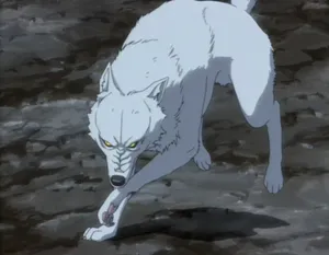 Kiba, The White Wolf - Leader Of The Wolf Pack Wallpaper