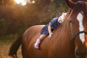 Kid And Stallion Wallpaper