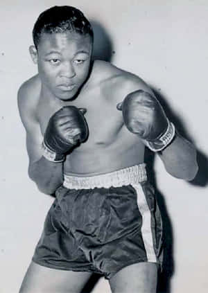 Kid Gavilan Spotlight Wallpaper