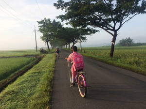 Kid On Bike Pemandangan Wallpaper