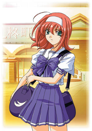 Kimi Ga Nozomu Eien Animé Illustration Wallpaper