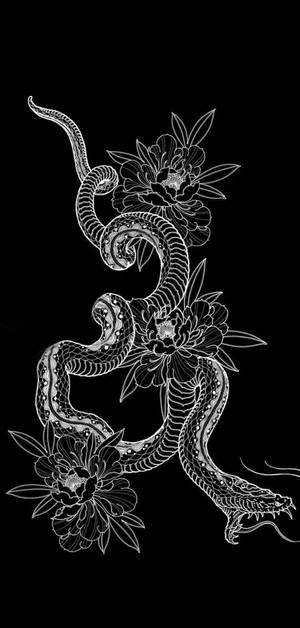 King Cobra Outline Drawing Wallpaper