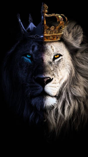 King Lion Galaxy Wallpaper