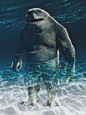 King Shark Underwater Wallpaper