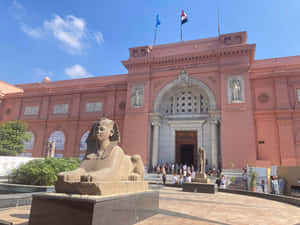 King Tut At The Center Of Egyptian Museum Wallpaper