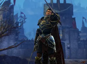 King Varian Wrynn Standing Tall Wallpaper