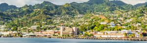 Kingstown Saint Vincent Coastline Panorama Wallpaper