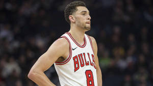 Knockout Basketball Player Zach Lavine Wallpaper