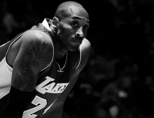 Kobe Bryant Intensity B W Wallpaper