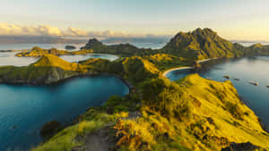 Komodo Island Pandar Wallpaper