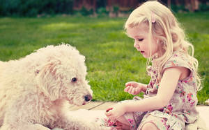 Komondor Dog With Cute Girl Wallpaper