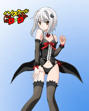 Koneko_ Toujou_ High_ School_ Dx D_ Anime_ Character Wallpaper