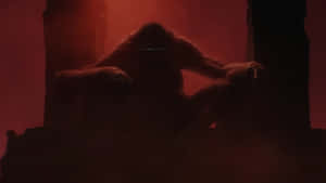 Kong Silhouette Red Backdrop Wallpaper